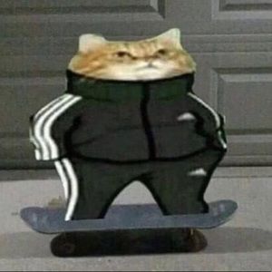 Meet your Posher, Brayden